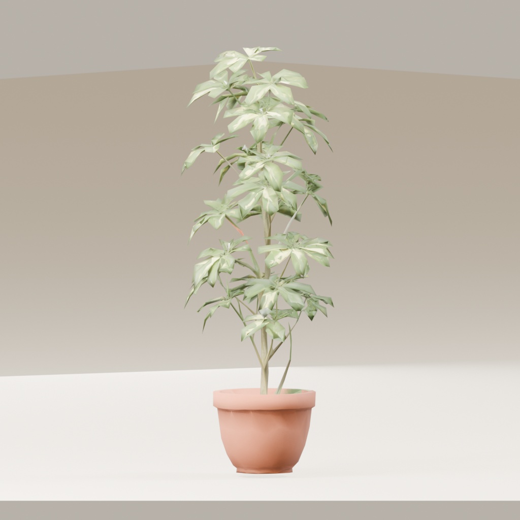 【3Dモデル】観葉植物 / シェフレラ(schefflera_arboricola)(OBJ・LWO)