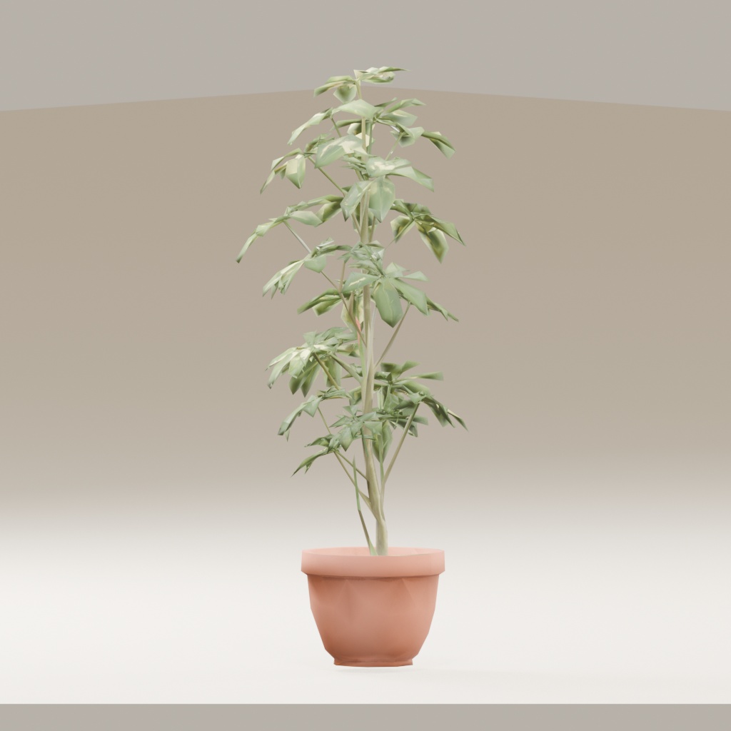 【3Dモデル】観葉植物 / シェフレラ(schefflera_arboricola)(OBJ・LWO)