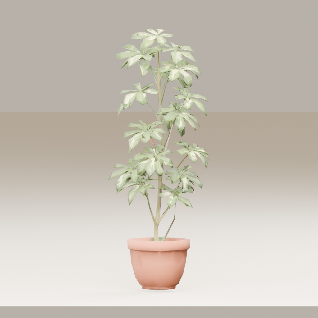 【3Dモデル】観葉植物 / シェフレラ(schefflera_arboricola)(OBJ・LWO)