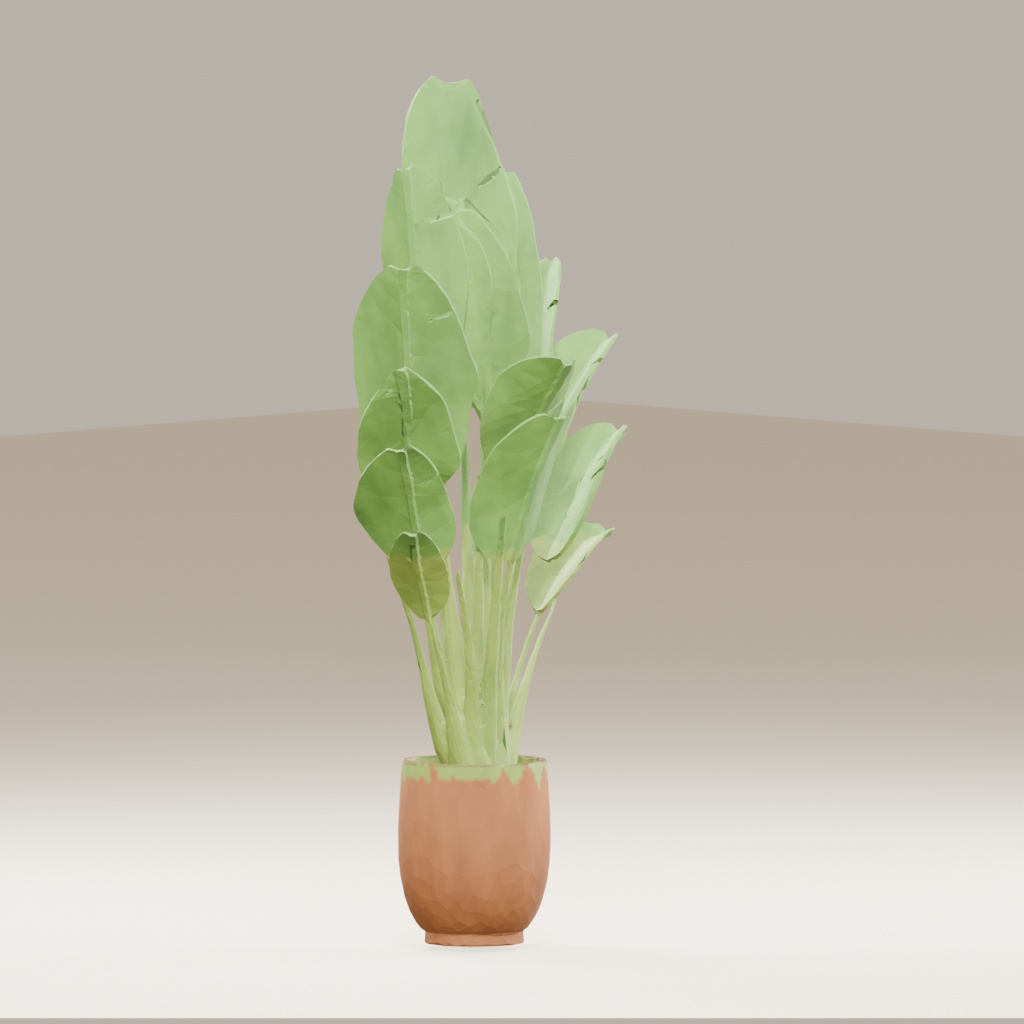 【3Dモデル】観葉植物 / strelitzia nicolai ストレリチア・ニコライ(OBJ・LWO)