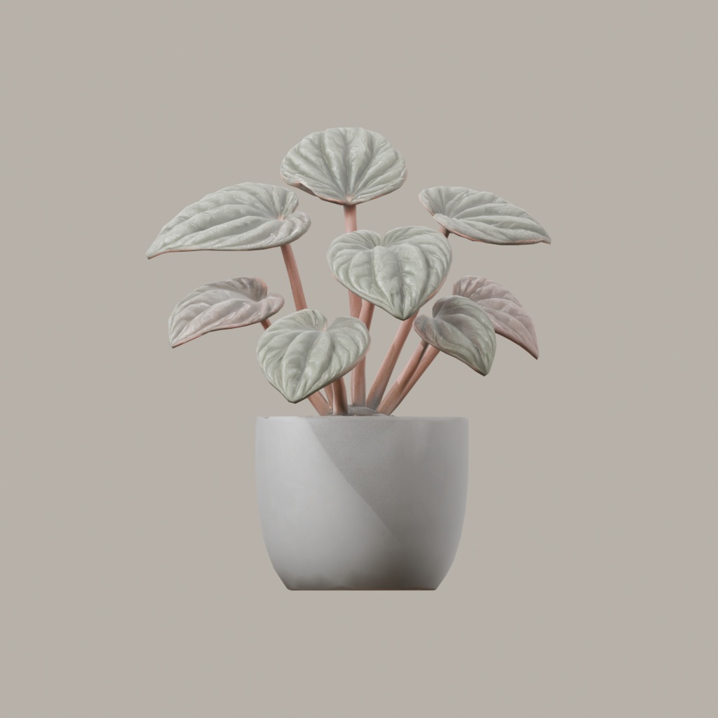 【3Dモデル】観葉植物 / ペペロミア・カペラータ(peperomia_caperata)(OBJ・LWO)