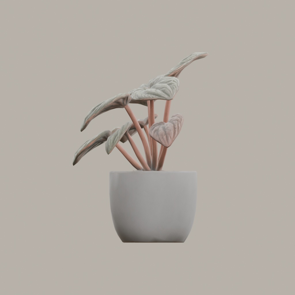 【3Dモデル】観葉植物 / ペペロミア・カペラータ(peperomia_caperata)(OBJ・LWO)