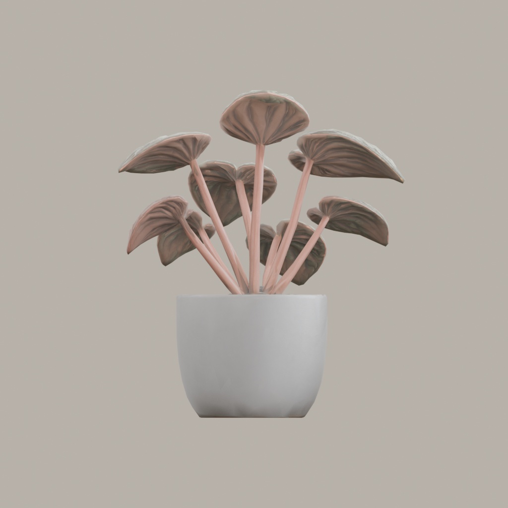【3Dモデル】観葉植物 / ペペロミア・カペラータ(peperomia_caperata)(OBJ・LWO)