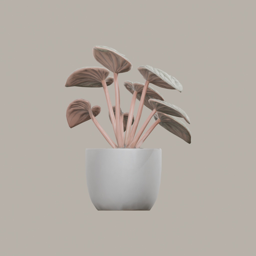 【3Dモデル】観葉植物 / ペペロミア・カペラータ(peperomia_caperata)(OBJ・LWO)