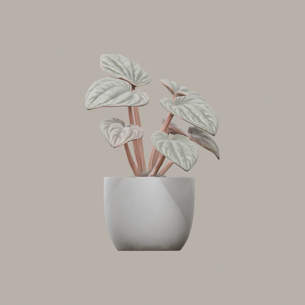 【3Dモデル】観葉植物 / ペペロミア・カペラータ(peperomia_caperata)(OBJ・LWO)