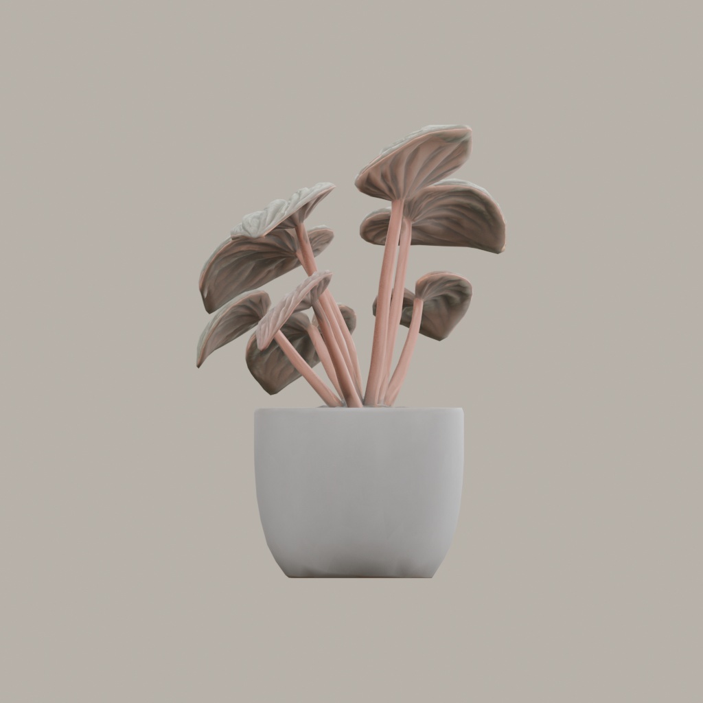 【3Dモデル】観葉植物 / ペペロミア・カペラータ(peperomia_caperata)(OBJ・LWO)