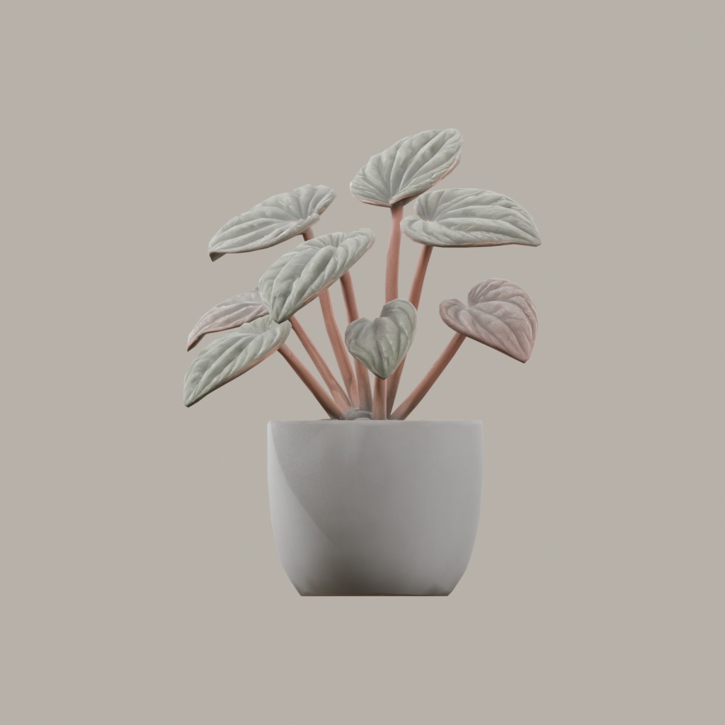 【3Dモデル】観葉植物 / ペペロミア・カペラータ(peperomia_caperata)(OBJ・LWO)