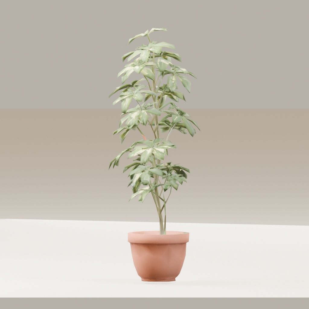 【3Dモデル】【詰合せ】観葉植物 / Houseplants 12種セット(OBJ・LWO)