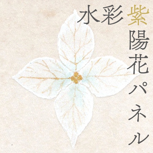 水彩紫陽花パネル（白）