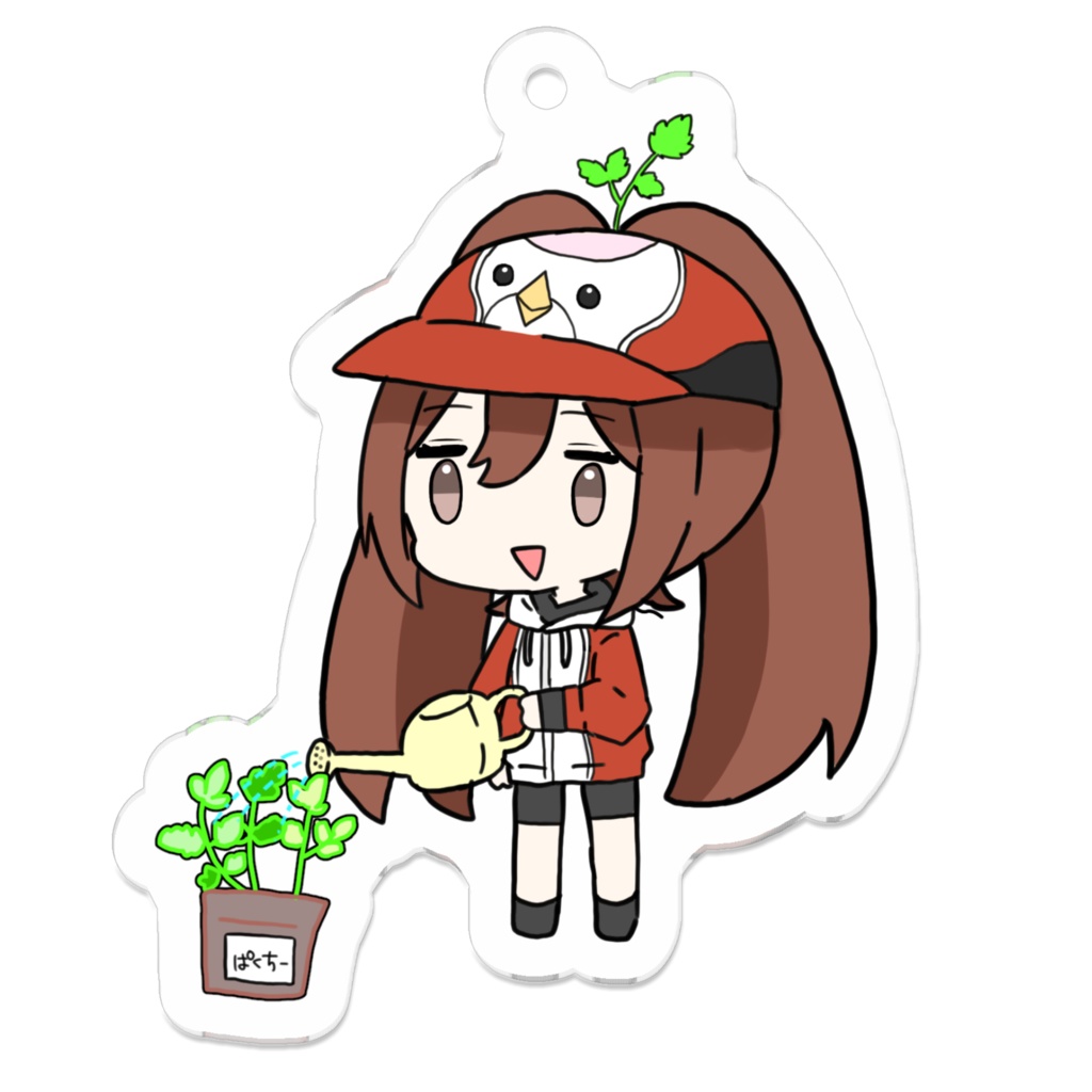 響ひな パクチーアクキー
