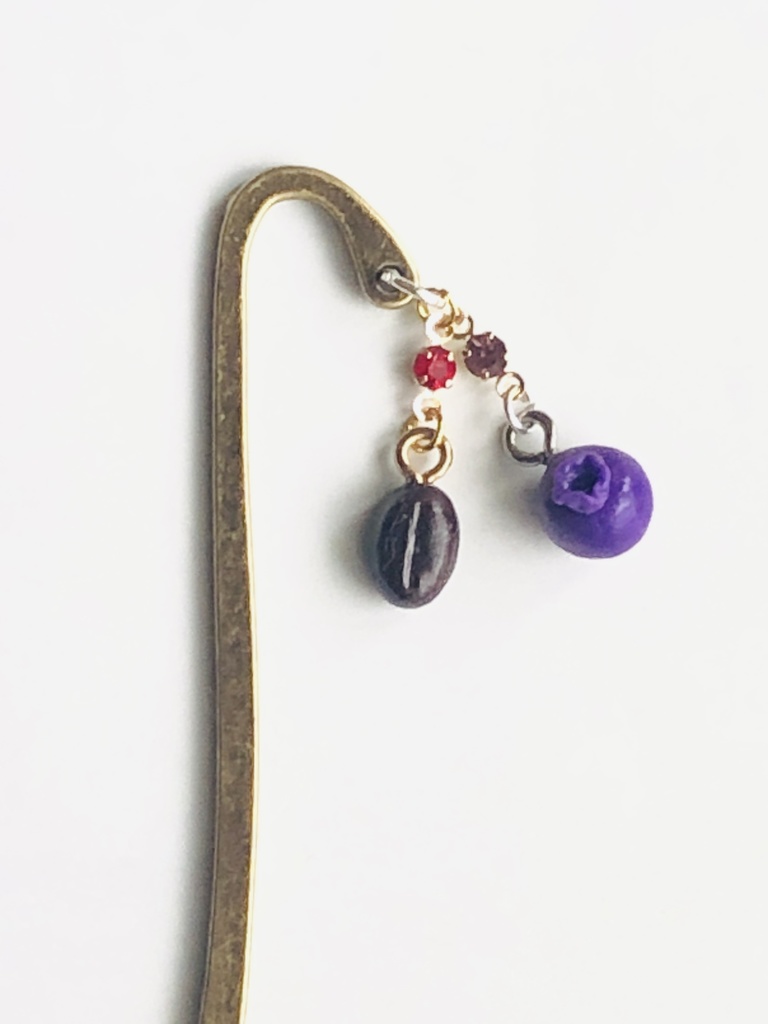 コーヒー豆＆ブルーベリーのしおり②(ダブデカイメージ)