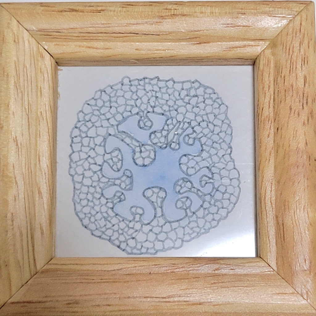 きのこ(2)