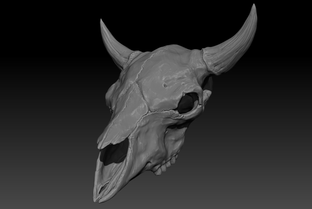 【3Dモデル】バイソンの頭蓋骨/スカル