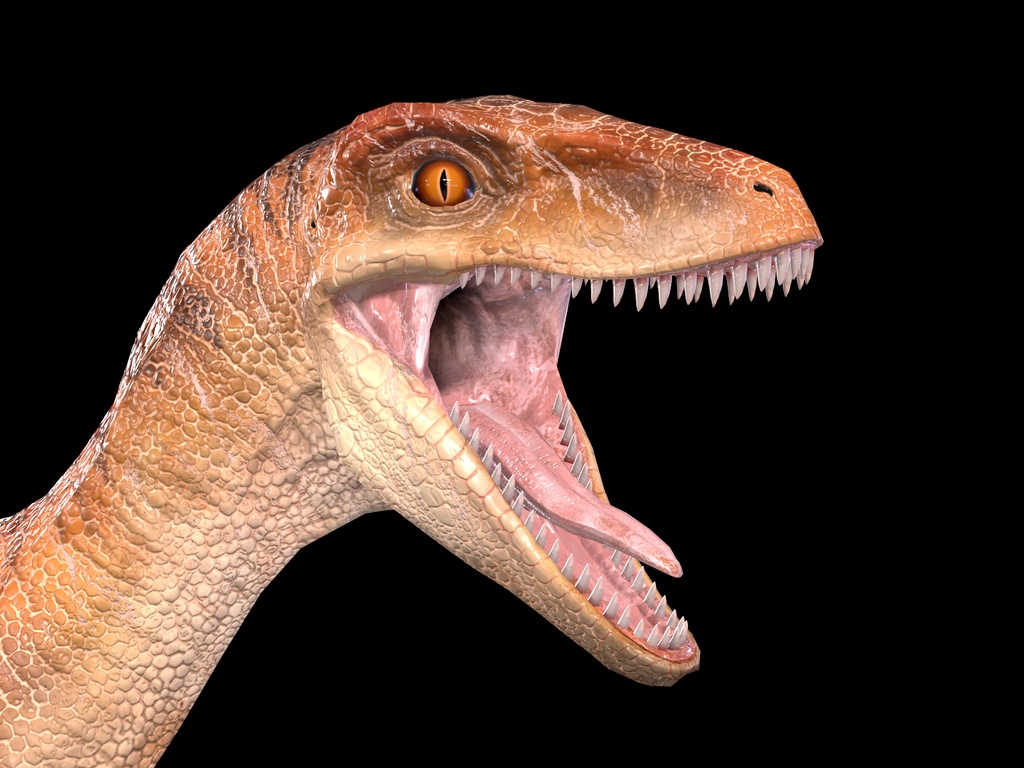 【3Dモデル】ラプトル(色変え用テクスチャ2種同梱)