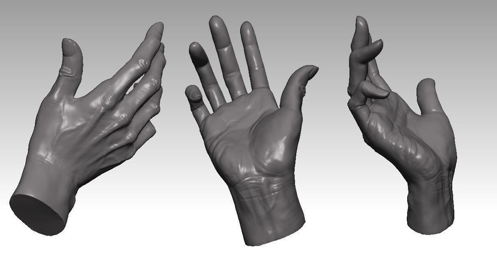【ZBrush】手　スカルプトモデル
