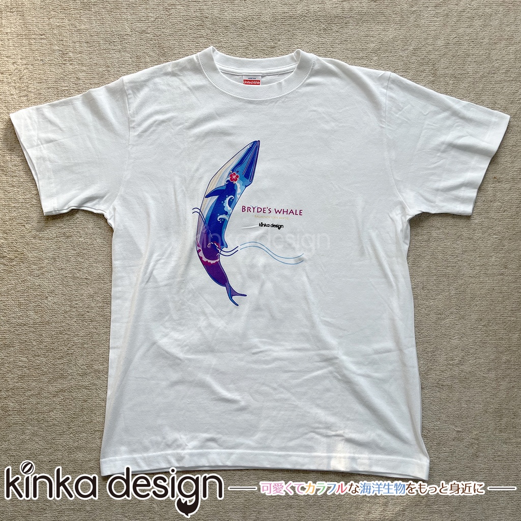 ポストカード付】Tシャツ_Mサイズ_ニタリクジラ - Kinkadesign うみの