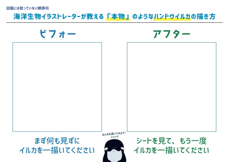 【ダウンロード版】海洋生物イラストレーターが教える「本物」のようなハンドウイルカの描き方