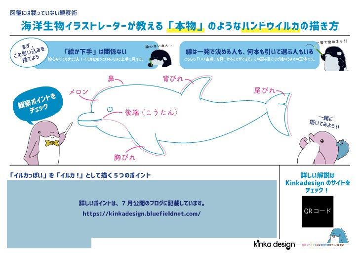 【ダウンロード版】海洋生物イラストレーターが教える「本物」のようなハンドウイルカの描き方