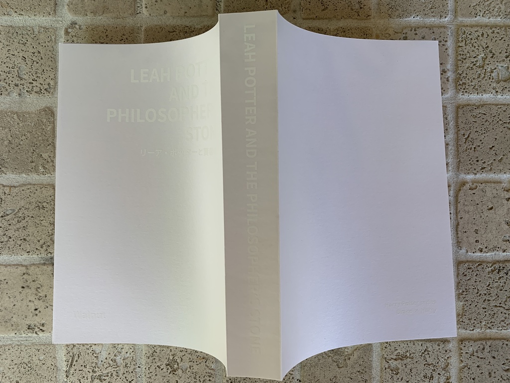 LEAH POTTER AND THE PHILOSOPHERS STONE