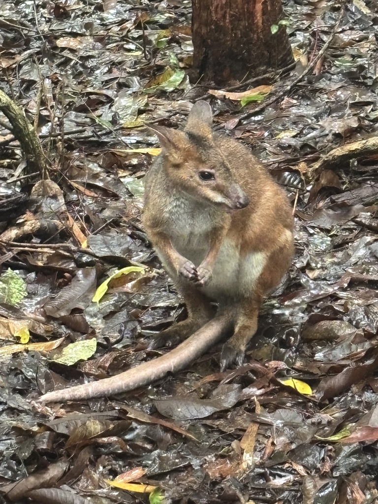 じる