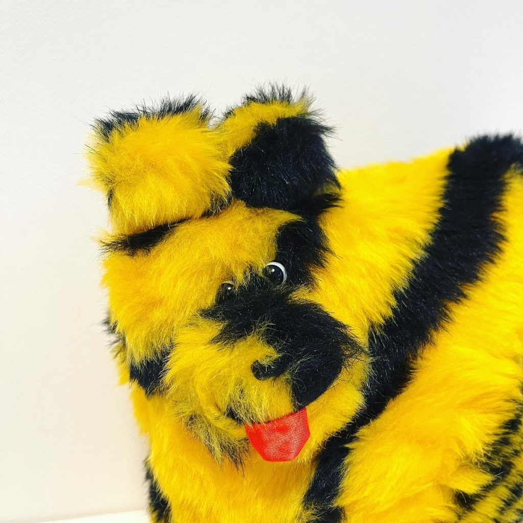 特徴:小さきもの(寅)