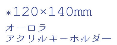 ※商品説明要必読 レオいず アクリルスタンド