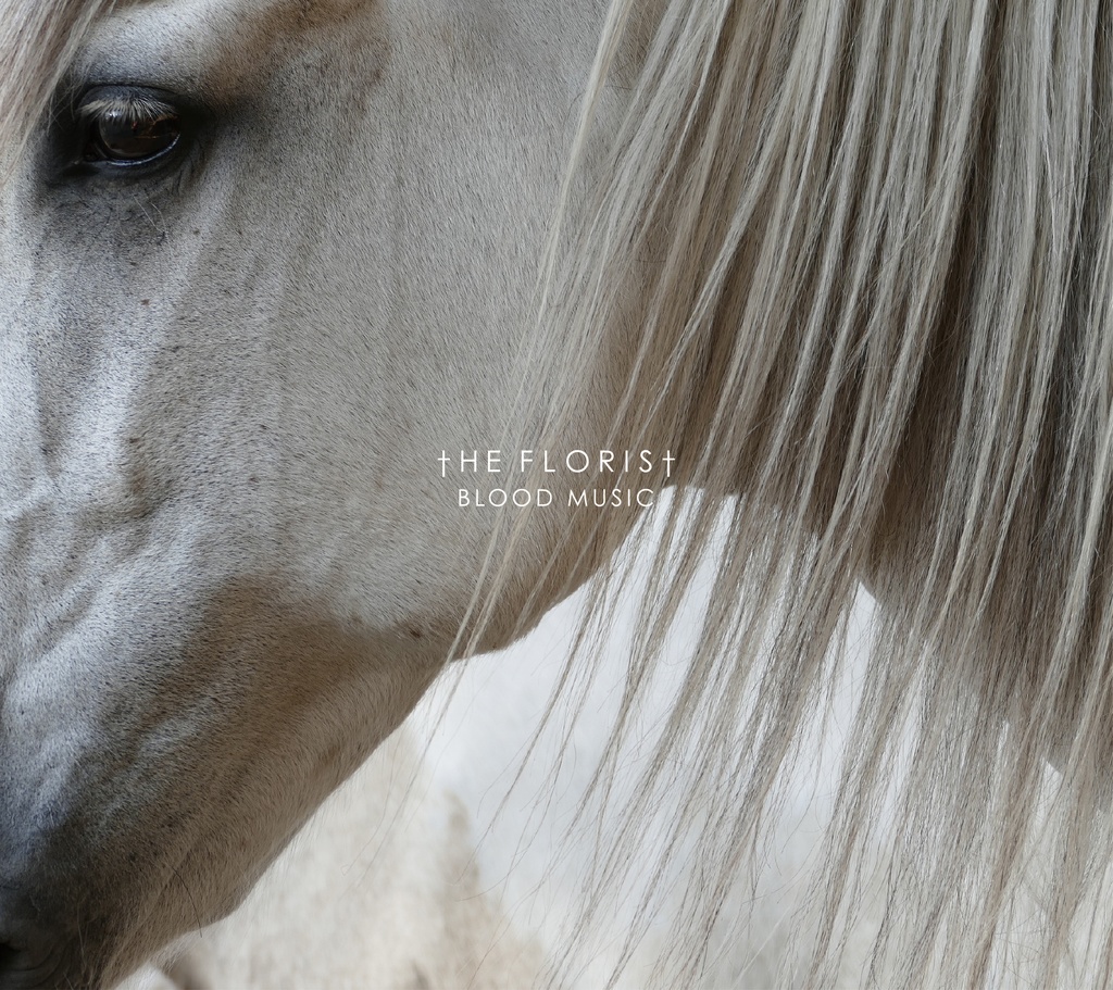 【委託販売】The Florist/Blood Music CD