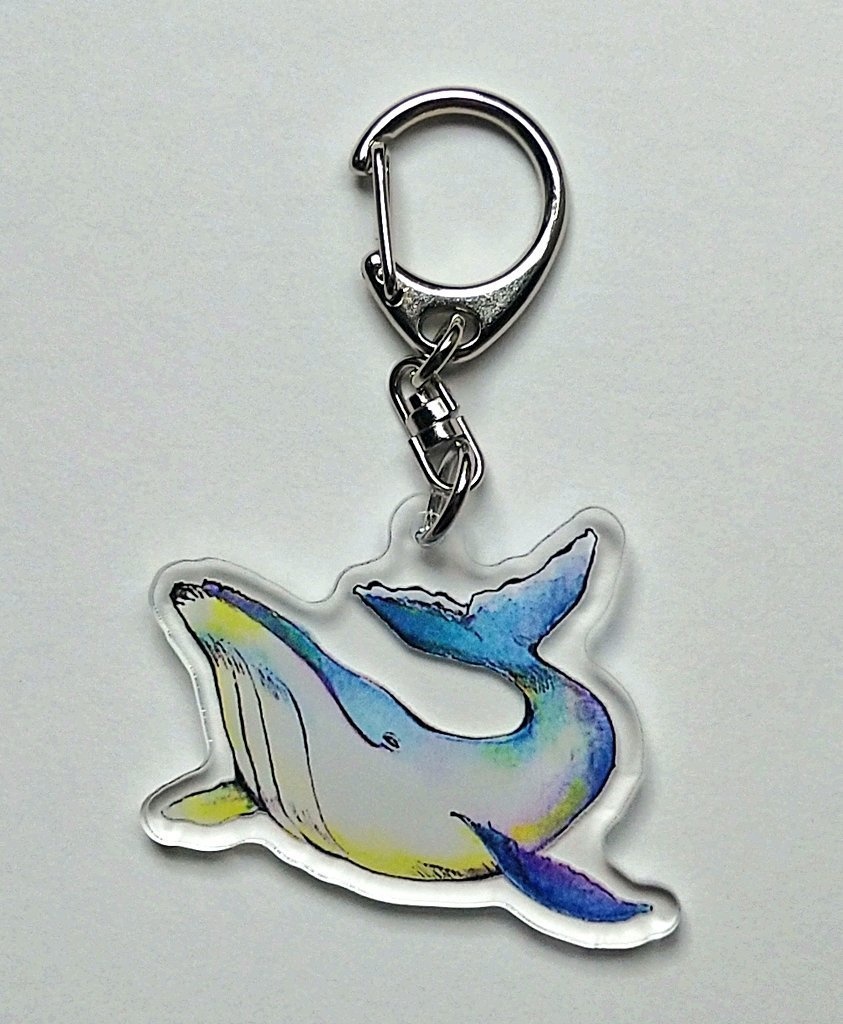ザトウクジラのアクキー