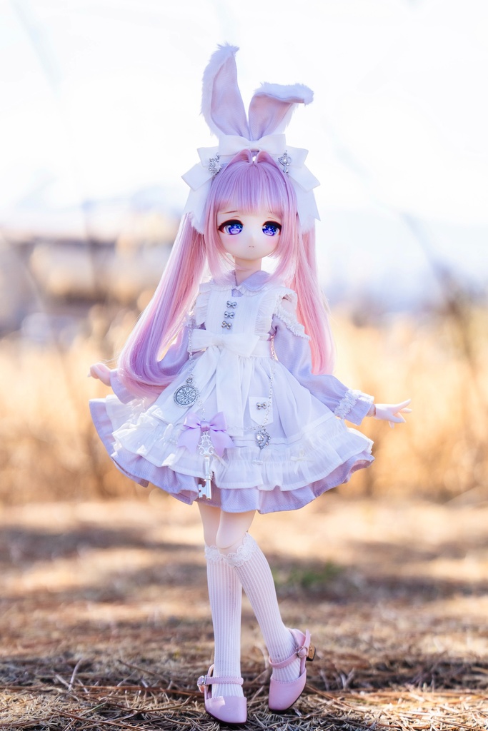 (4月通販会) 「砂糖の国のアリス 〜Étoile〜」(1/4ドール)