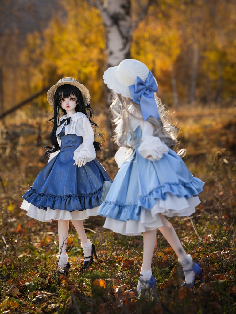 「白鳥花園の招待状」(1/3ドール)