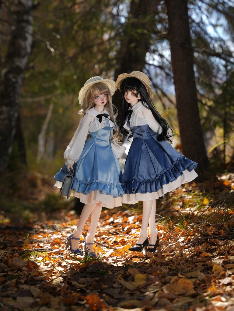 「白鳥花園の招待状」(1/3ドール)