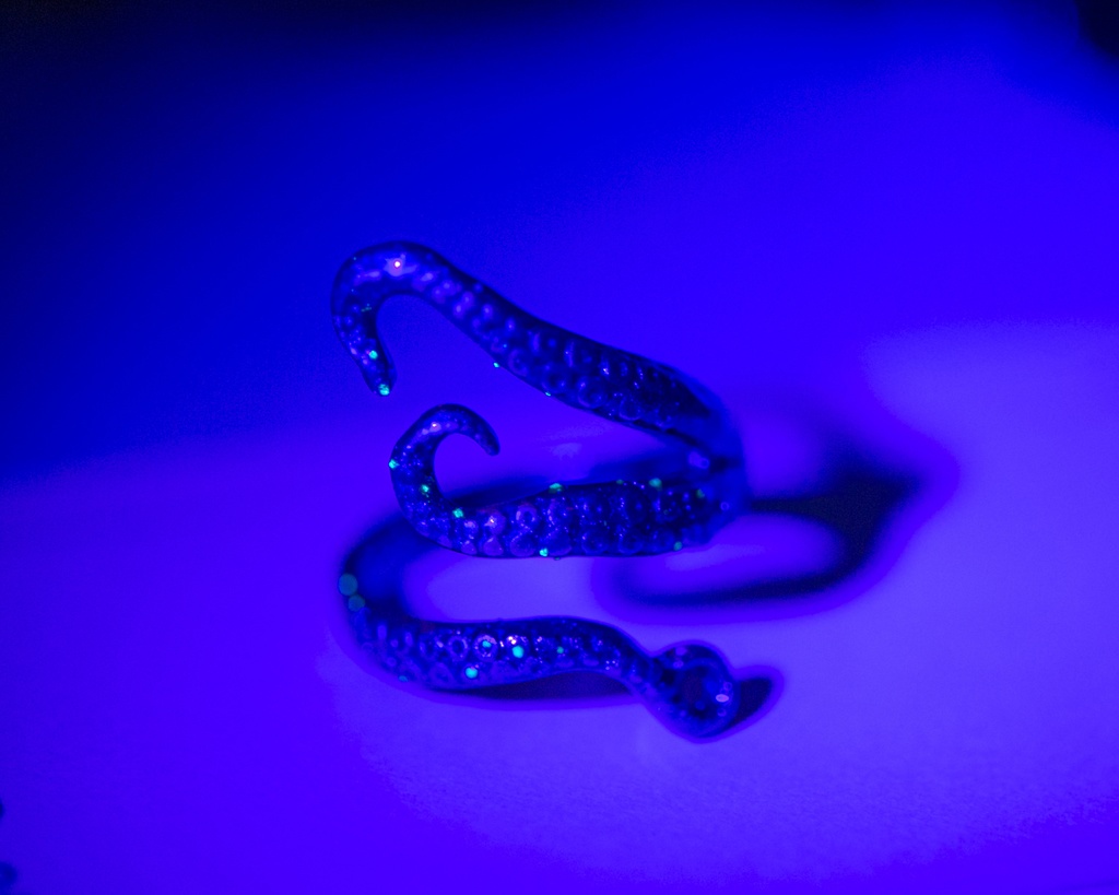 ツイステ オクタヴィネル寮 アズール リーチ兄弟 イメージリング(夜行タイプ。チャームなし)