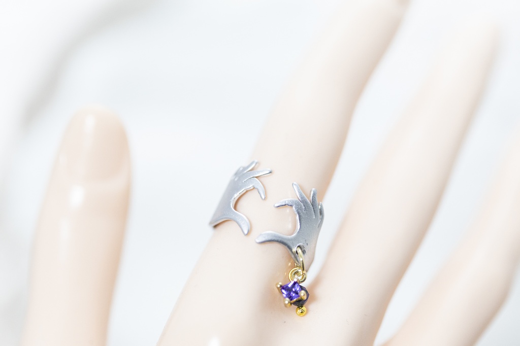 Dr.レイシオ イメージ リング