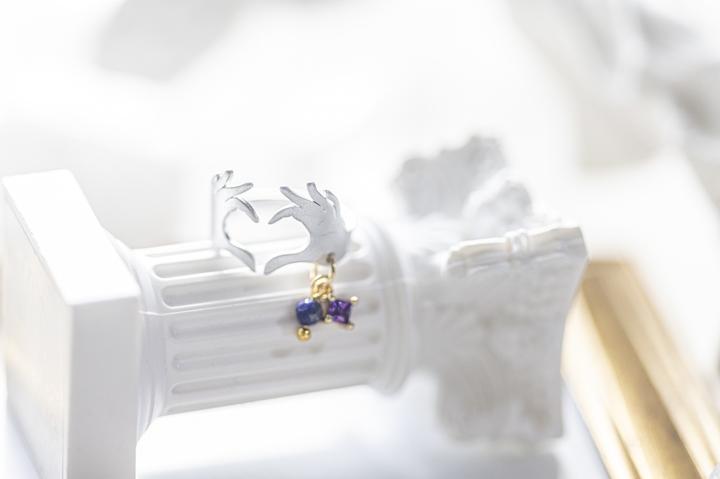 Dr.レイシオ イメージ リング