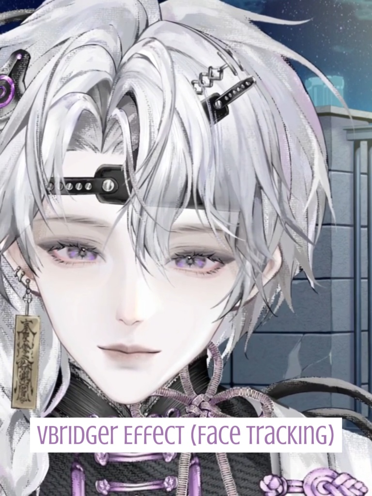【汎用モデル】中華男性アバター Live2Dモデル VTubeStudio対応 / 商用利用可 Premade Vtuber Avatar Anime Boy Model Cyber Oriental Style