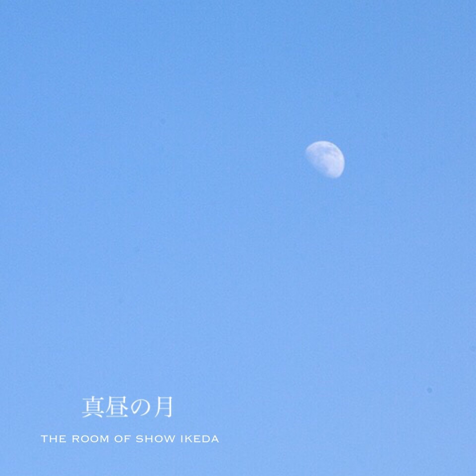 真昼の月