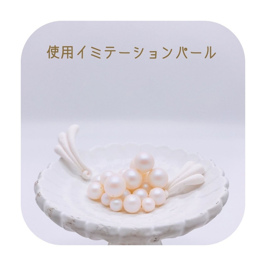 ヒトデ プラント イヤリング