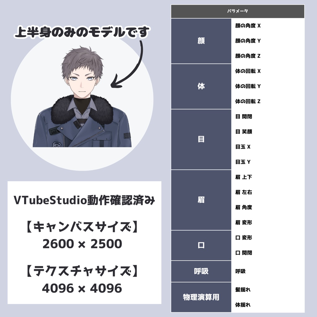 【限定1点】上半身のみ!銀の瞳の短髪モデル【VTS対応】