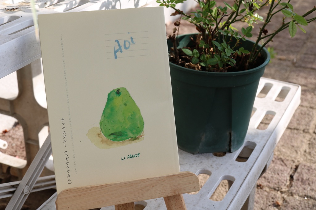 ZINE『Aoi』(アオイ)