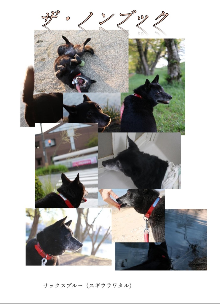 ザ・ノンブック