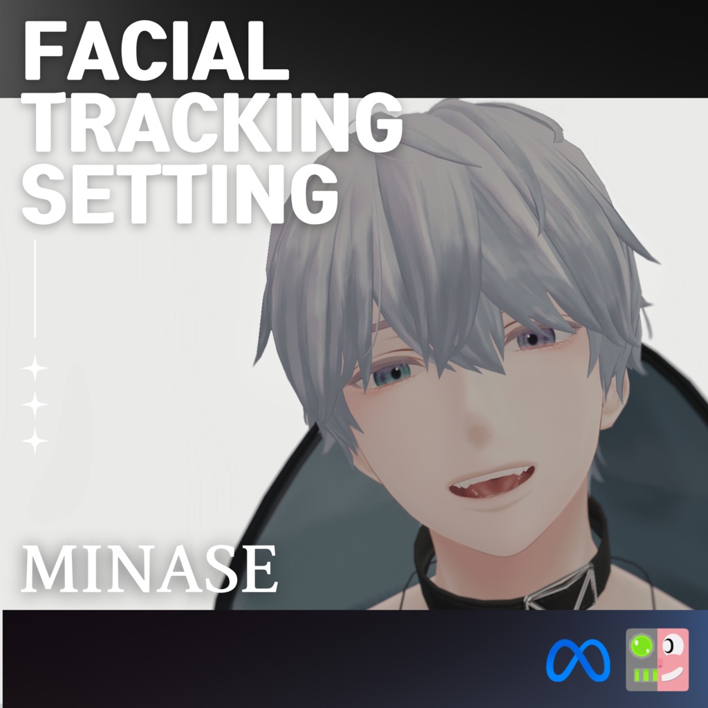 水瀬 Minase Facial Tracking