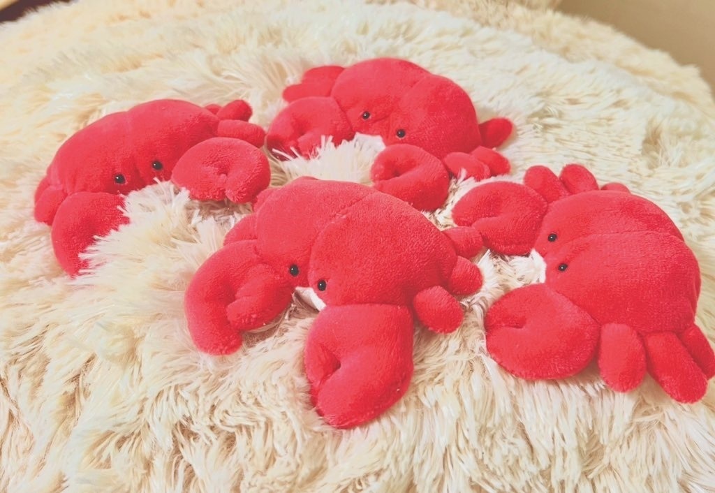 おなかの白いカニ