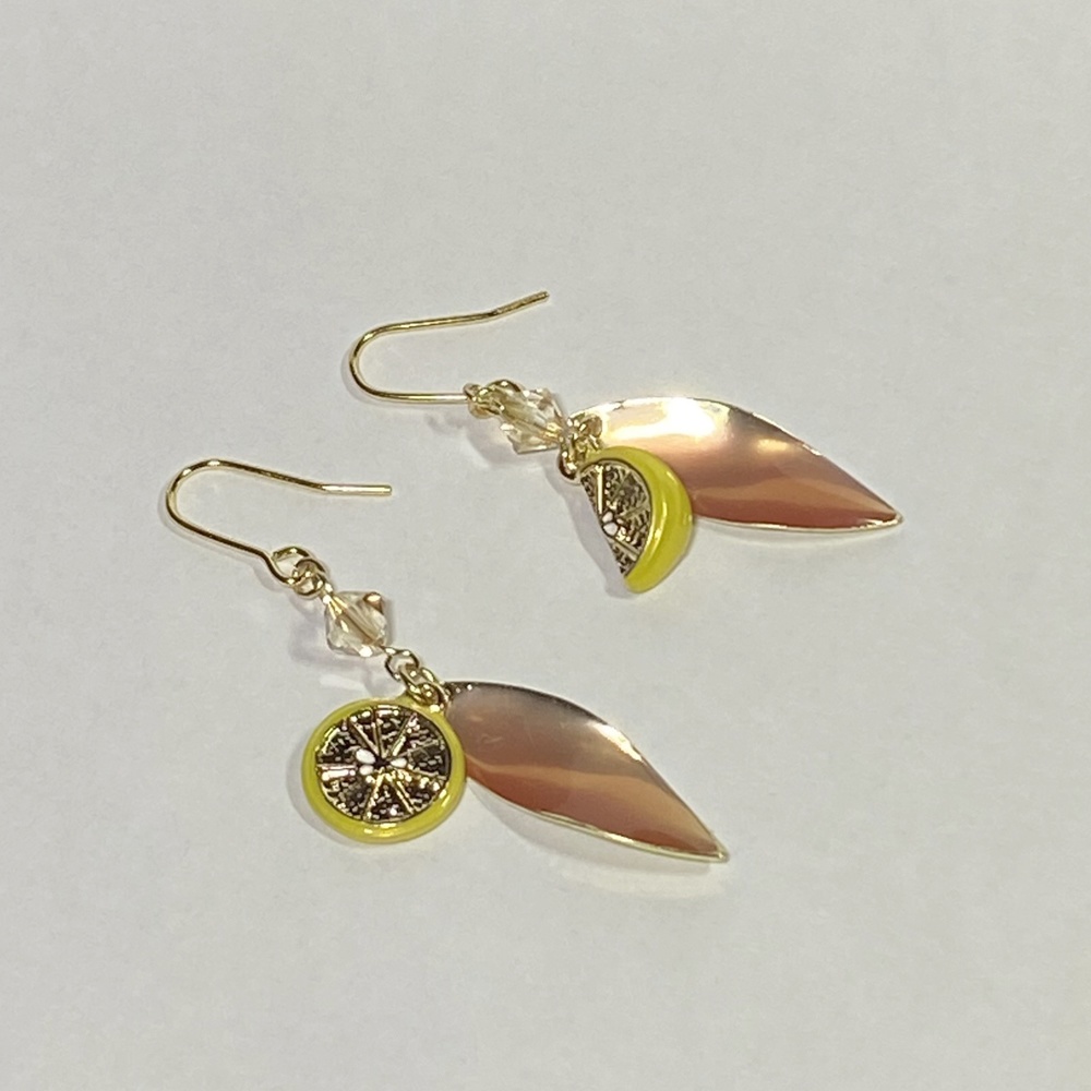 TENET/ダイアリー|ピアス