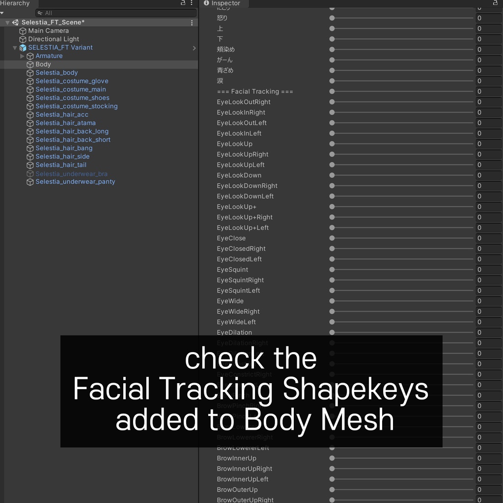 Selestia's(セレスティア) Facial Tracking Setting