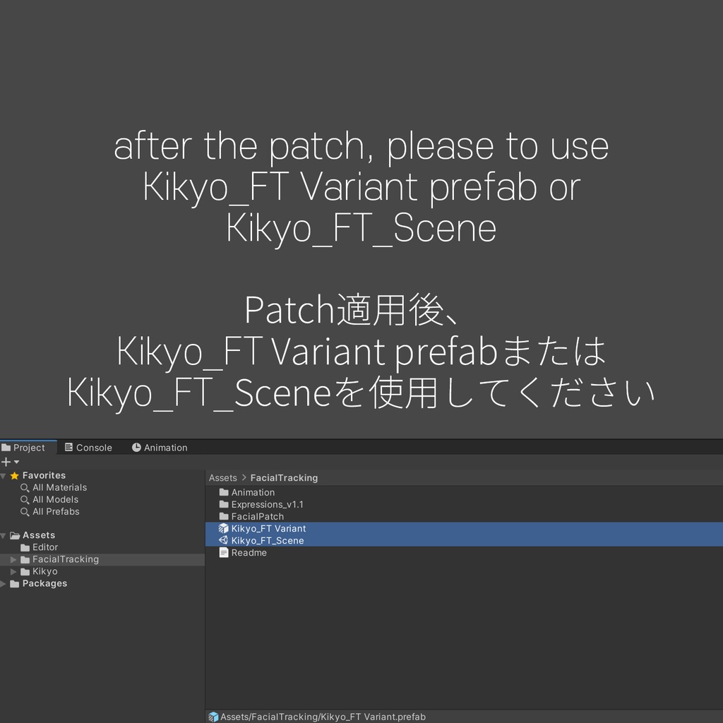 Kikyo(桔梗)'s FacialTracking Setting