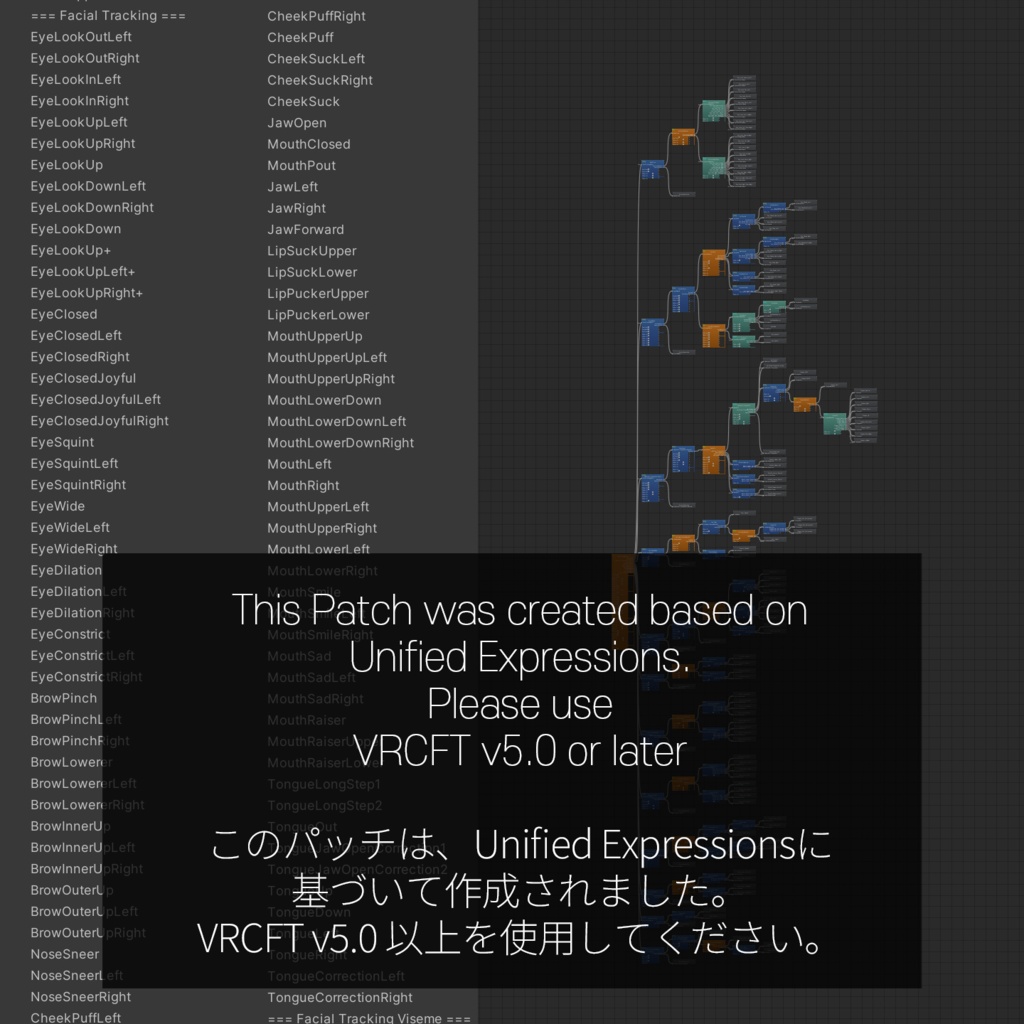 Kikyo(桔梗)'s FacialTracking Setting