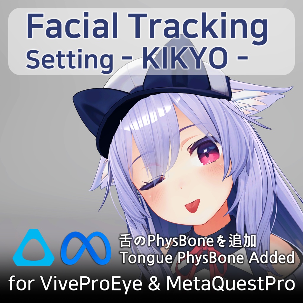 Kikyo(桔梗)'s FacialTracking Setting