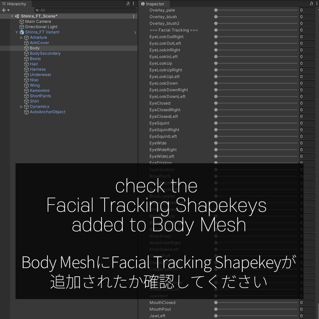 Shinra(森羅)'s FacialTracking Setting