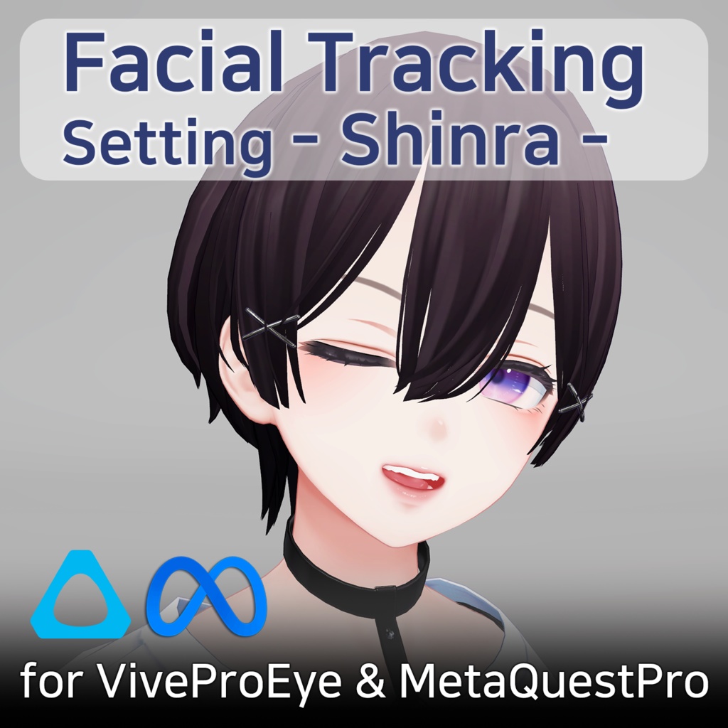 Shinra(森羅)'s FacialTracking Setting