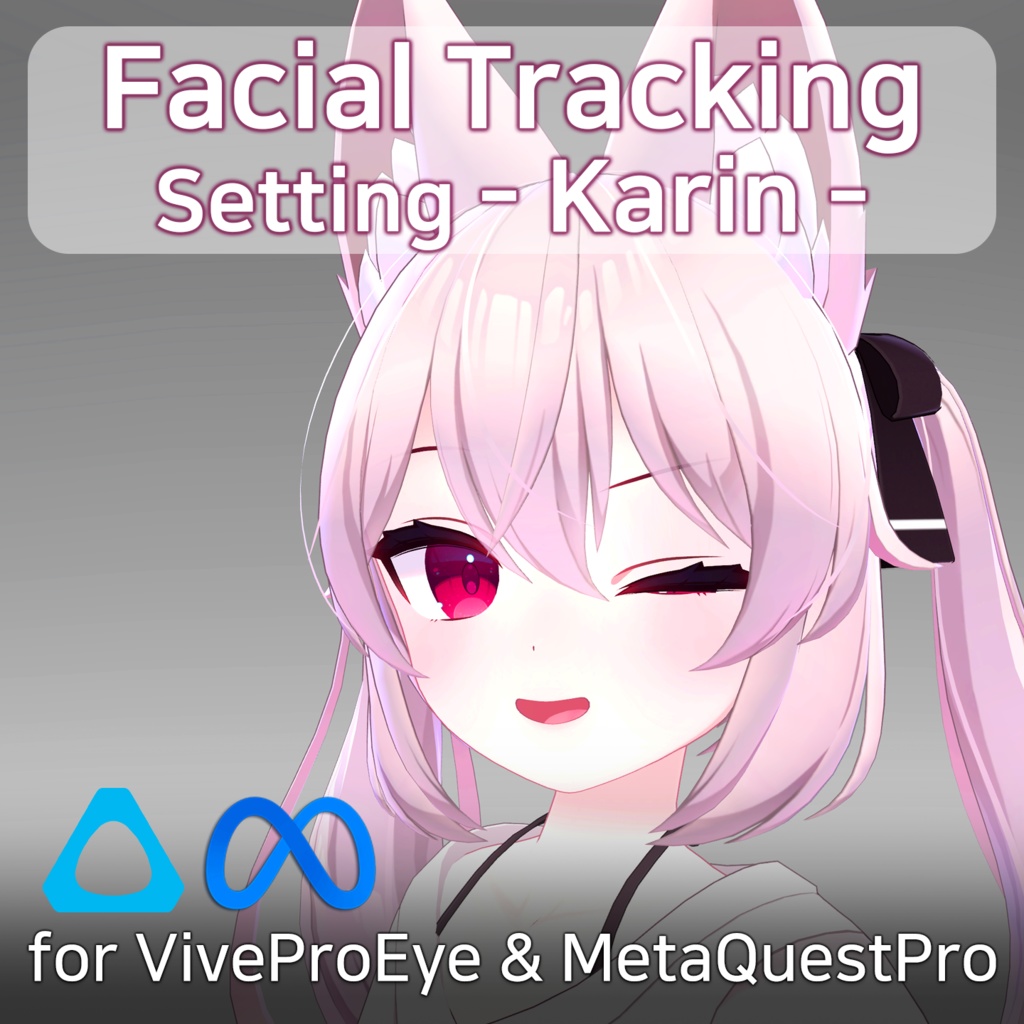 Karin(カリン)'s FacialTracking Setting